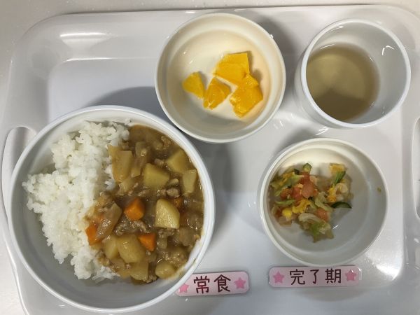 〈完了　常食〉カレーライス3色中華サラダオレンジ