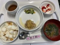 鶏肉のおろしがけです《完了期》