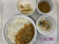 カレーライスです《完了》