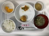 【常食】・みそ豆腐ハンバーグ