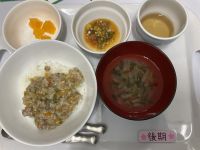 甘辛そぼろ丼です《後期》