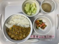 〈完了 常食〉夏野菜カレーオクラの3色サラダメロン
