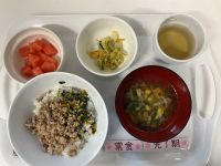 〈完了　常食〉ビビンバ丼チョレギサラダ韓国風スープすいか