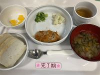 煮込みハンバーグです《完了期》